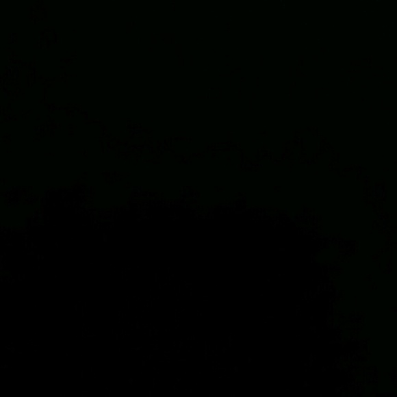 Meet your Posher, Ayana - Picture 1 of 1